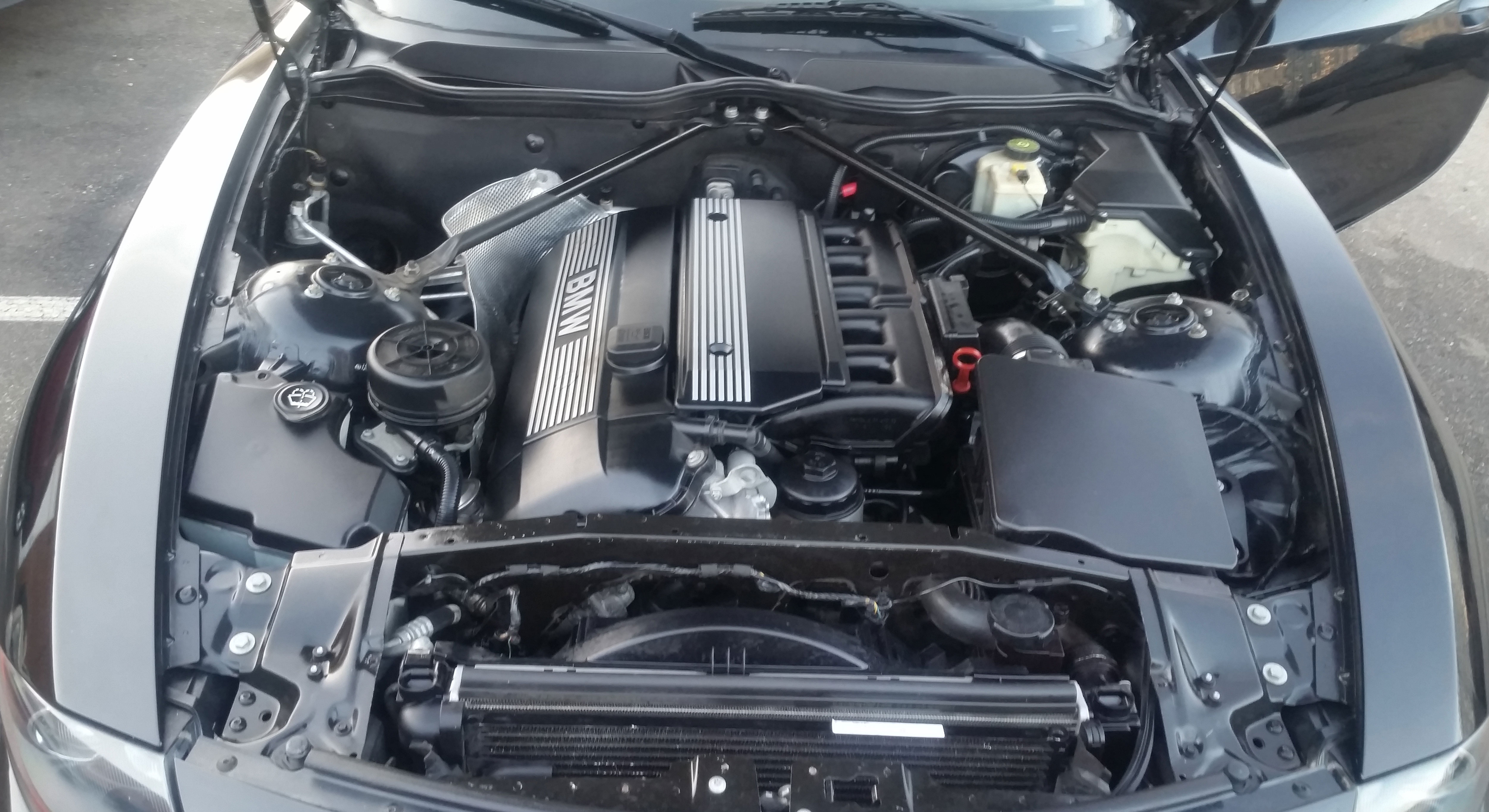 BMW engine bay cleaning and detailing in Chesapeake, Virginia — After